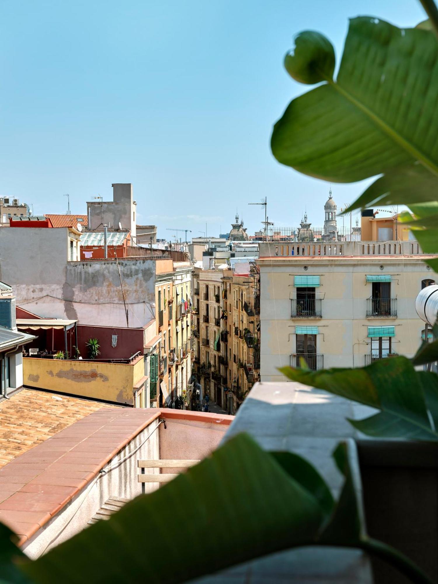 Suite Junior avec Terrasse